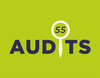 Audits 55